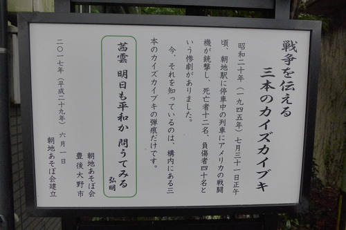 P1300550