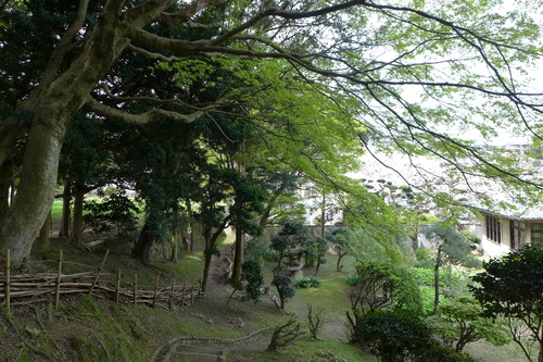 P1090401