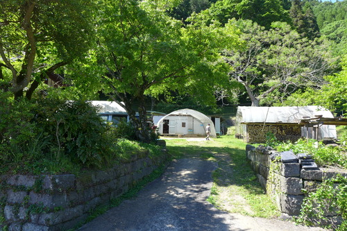 P1130223