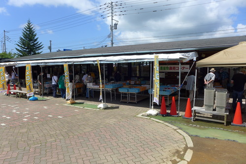 P1130665