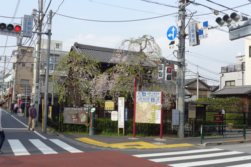 P1190850