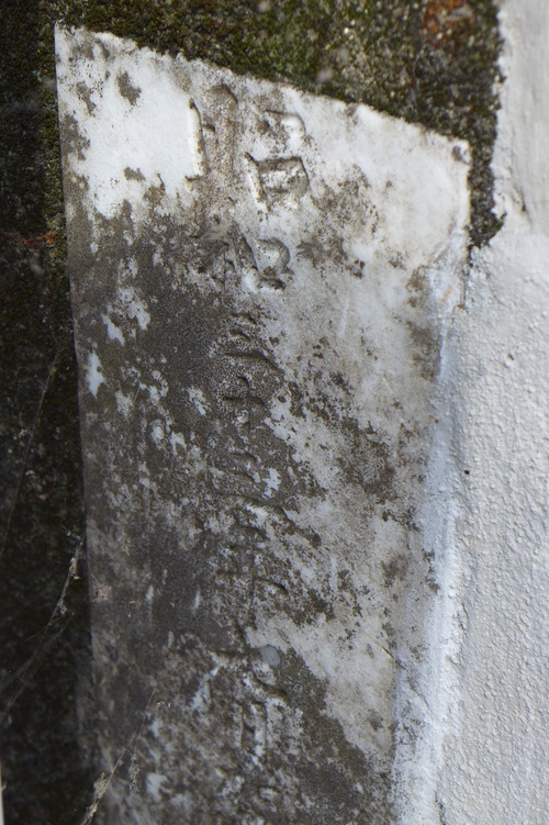 P1130623