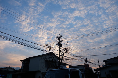 DSCF4597