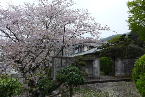P1100541