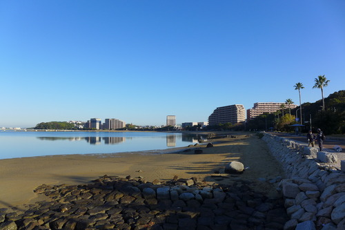 P1290216