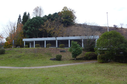 P1010260