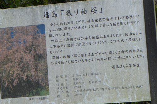 P1090210