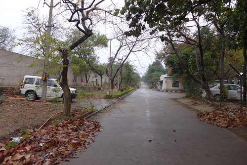 P1500916