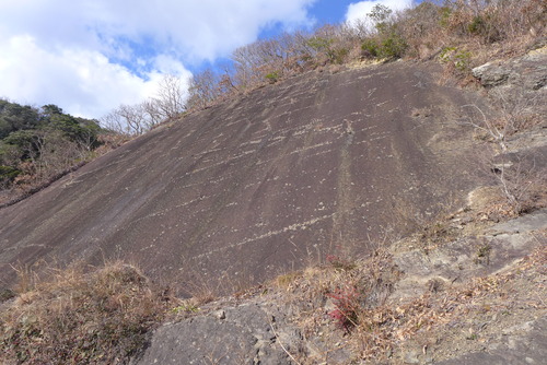 20260208対馬再訪フィールドワーク（その3）創世記的自然遺産！千尋藻（ちろも）の漣痕！！