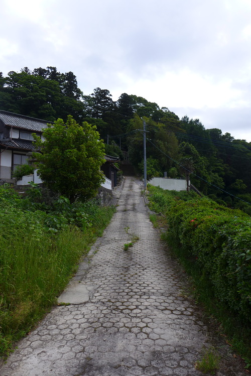 P1530958