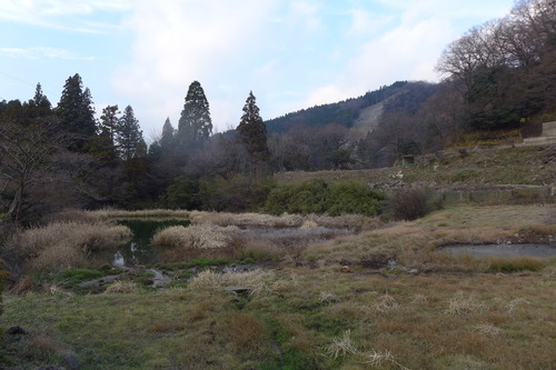 P1550347