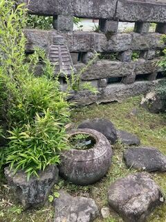 IMG_3855