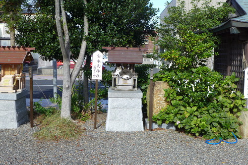 P1270853