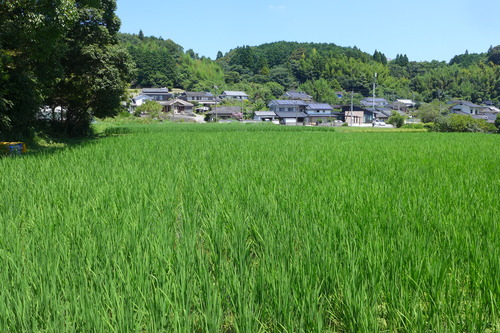 P1200611
