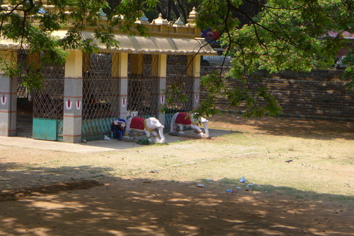 P1480067