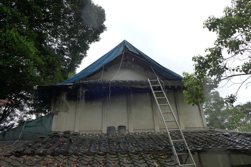 P1140218