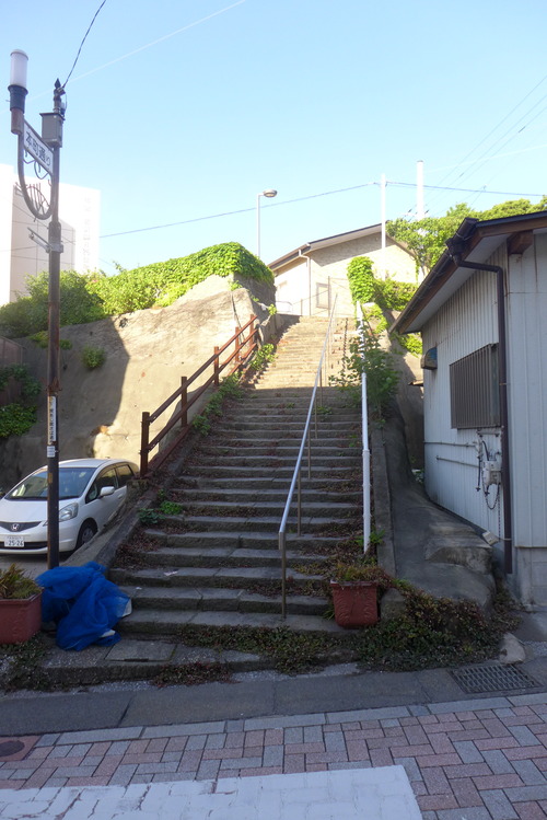 P1540144
