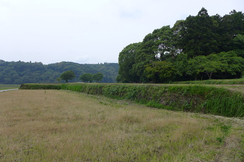 P1100840