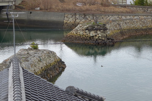 P1090855