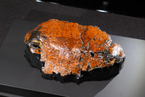 P1100407