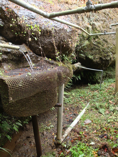 DSC08310