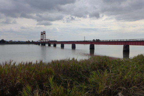 20251119（水）佐賀市諸富町川の駅どろんぱ地先の筑後川河口にて深呼吸！