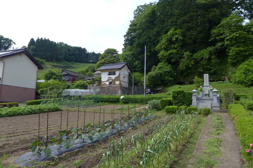 P1150766