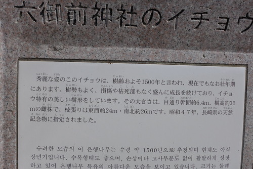 P1440475