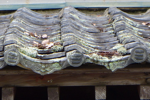 P1160194