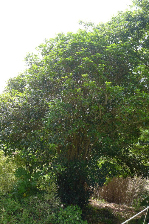 P1540040