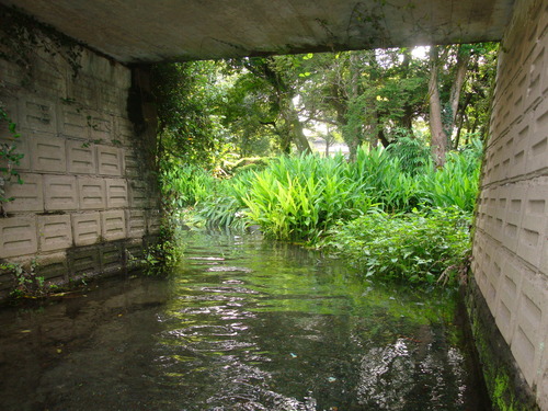 DSC09901