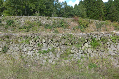 P1250850