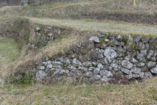 P1020748