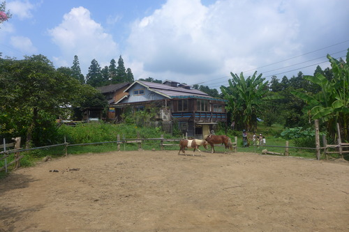 P1200423