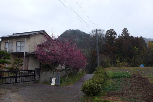 P1240602 のコピー