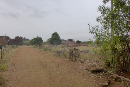 P1460606