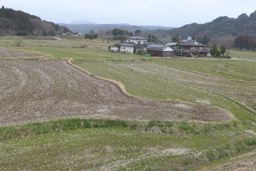 P1240468 のコピー