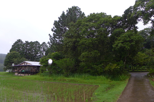 P1160069