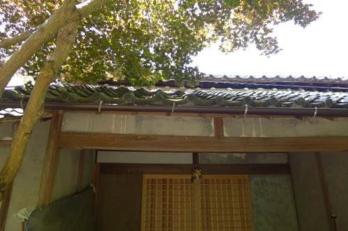 P1250525