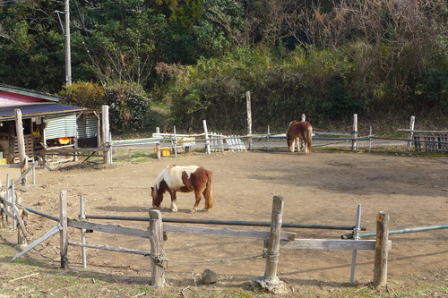 P1060577