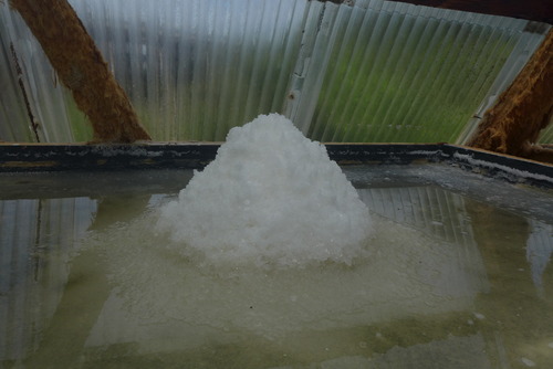 大江の塩屋（亡き松本明生さんの手づくり塩）！存続し次世代によって蘇る！