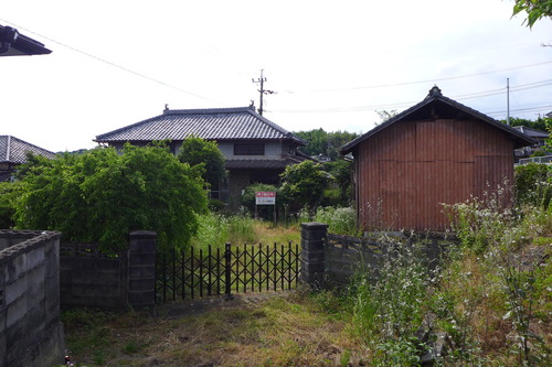 P1130650