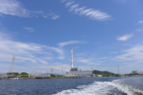 P1560696
