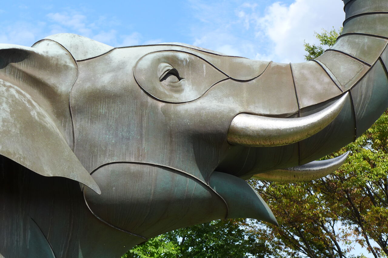 陽気な象像に笑うぞう！安藤泉「遊星散歩」の像顔に注目！！ : ふ印