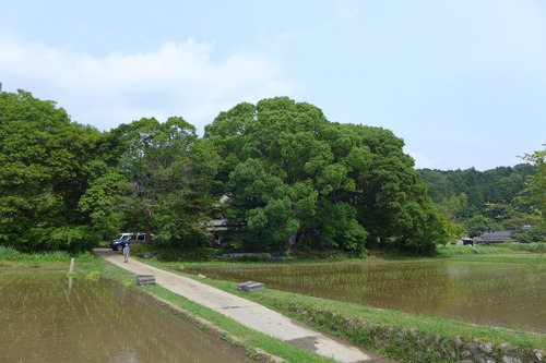P1110435