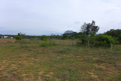 P1190950