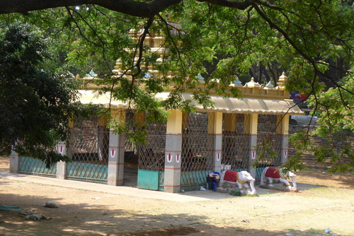 P1480066