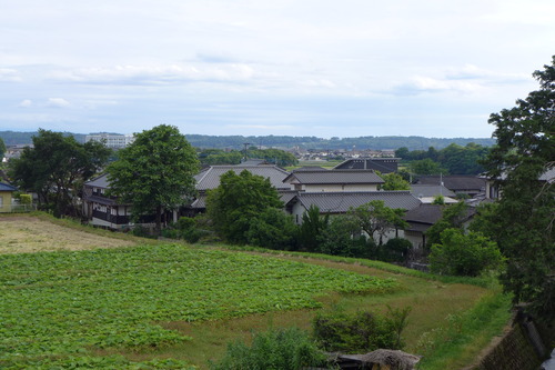 P1130671