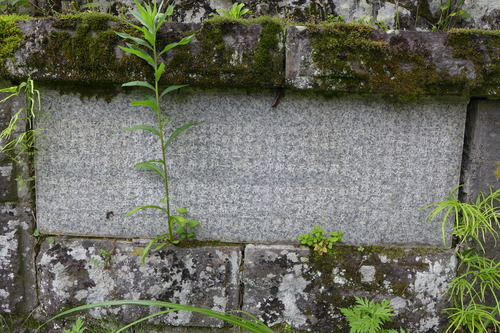 P1260438