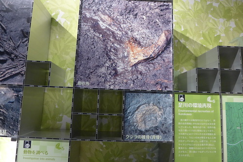 P1100432